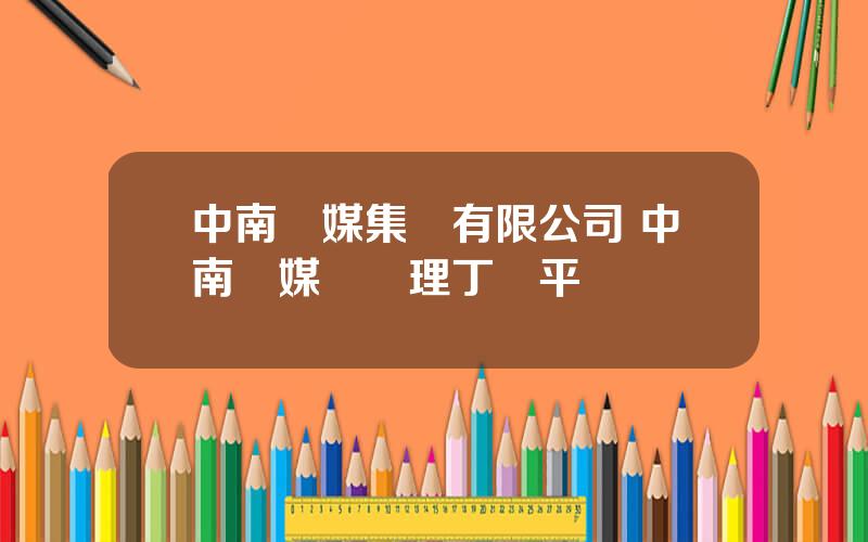中南傳媒集團有限公司 中南傳媒縂經理丁雙平